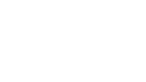 Small Brand Economics Client Logo