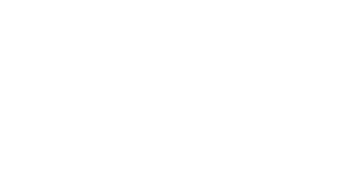 yashivf-logo